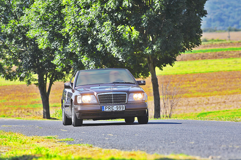 nevezo_Fulmer Gabor nevezo_Fulmer Gabor