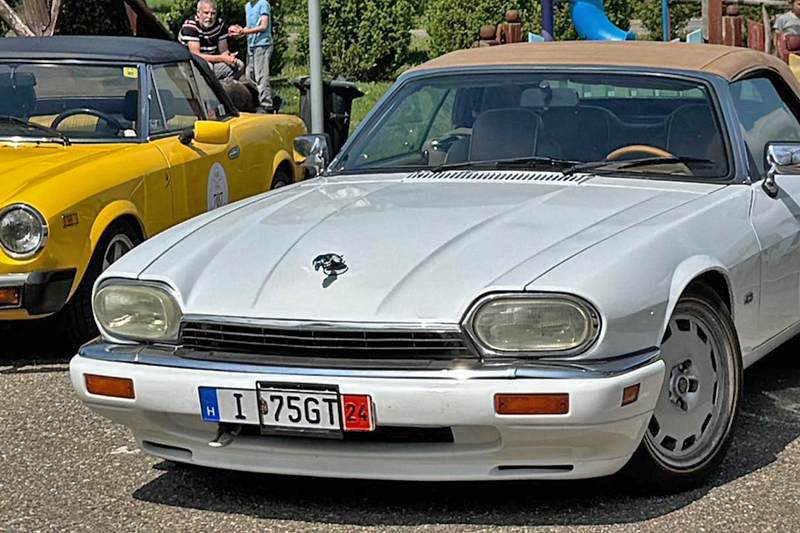 nevezo_Csak Timea_Jaguar