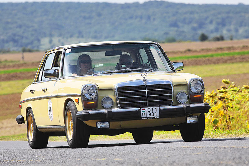 nevezo_Enzsol Laszlo