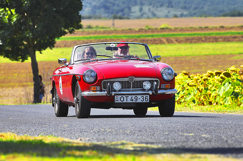 nevezo_Makovszky Zoltan