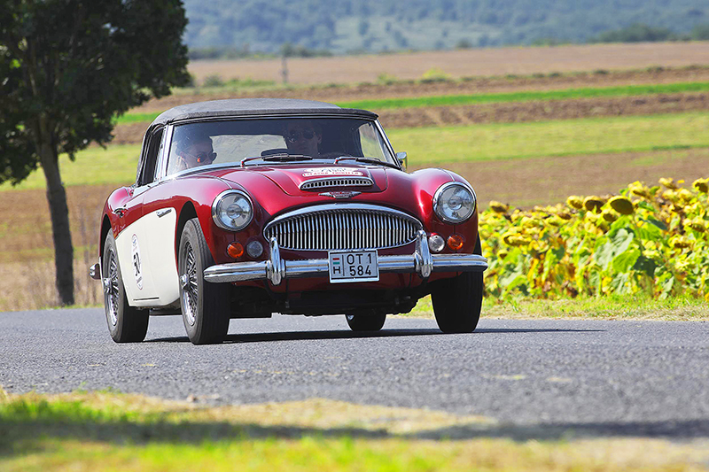 nevezo_Csak Levente_Austin Healey
