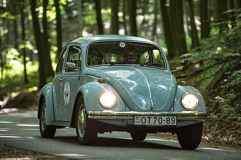 nevezo_Sajosi Noemi_vw_