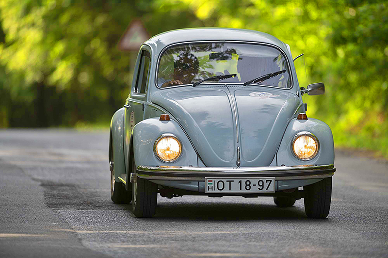 nevezo_Sotkovszky_vw