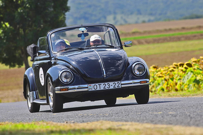 nevezo_karl schultes