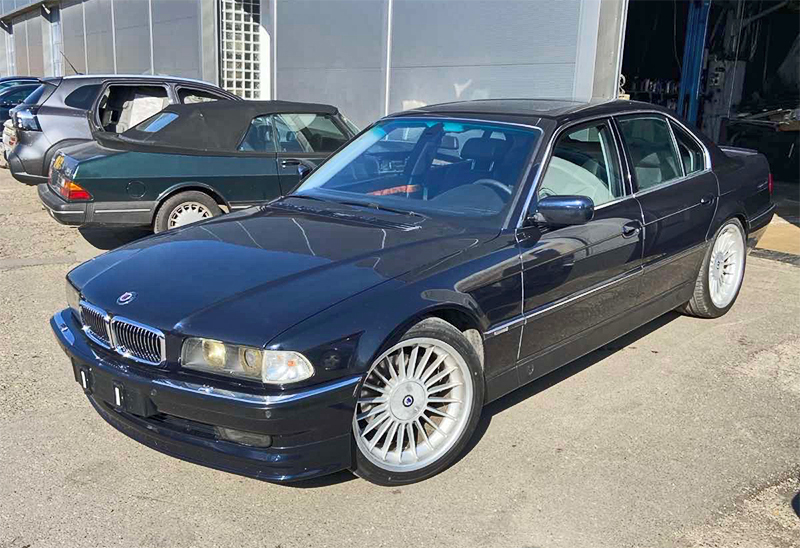 nevzeo_Bajaki_Alpina